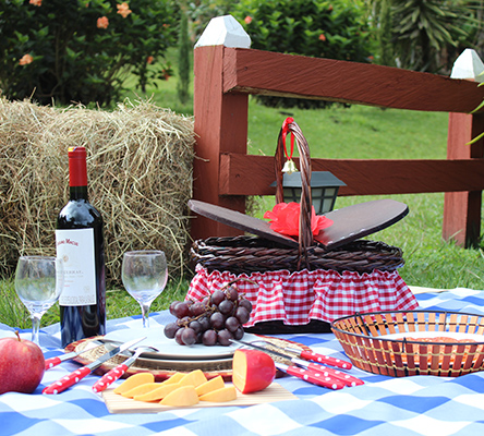 foto-marca-basilico