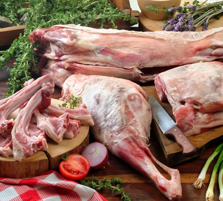 foto-marca-basilico